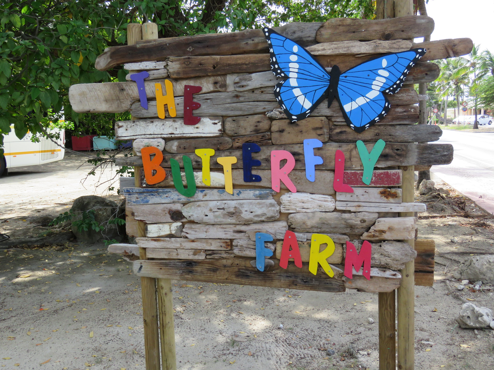 Butterfly Farm